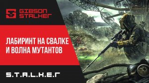 S.T.A.L.K.E.R :  ЛАБИРИНТ НА СВАЛКЕ И ВОЛНА МУТАНТОВ ( МОД ФОТОГРАФ )