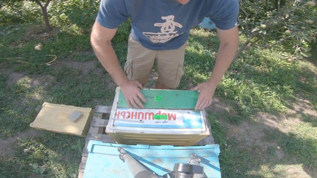 Два отводка в шестирамочнике смотреть онлайн