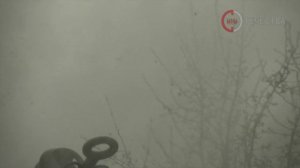 ЦСП РУБИН. НОВОСТИ СВО. 88бр., ЛНР.