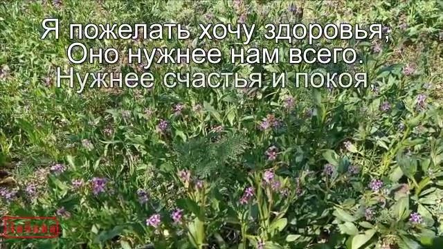 Будь здоров! Пожелание здоровья.