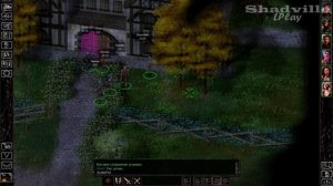 Берегост — Baldur's Gate: Enhanced Edition Прохождение игры #4