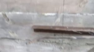 Приспособа для забоя кроликов поподробней .