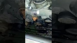 Что делать? Загорелась лампа АККУМУЛЯТОРА!!