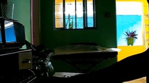 Gabriel Menezes - Yamaha Mo6 Demo (Performance Trance M)