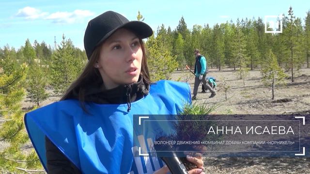 Программа «Деловая среда» от 14 июня