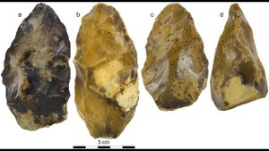 63.5 ПЕРВАЯ ЧЕЛОВЕЧЕСКАЯ СЕМЬЯ. РАССЕЯНИЕ АНДОНИТОВ