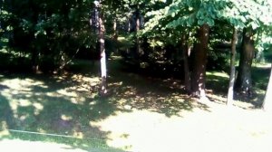 Петербургские тропики