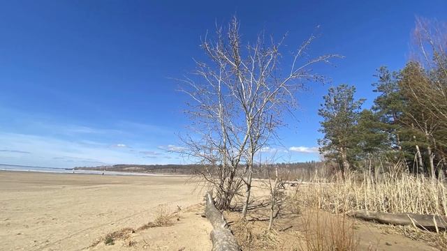 «Первые лучики солнца» #ЭлектроТольятти смотреть онлайн