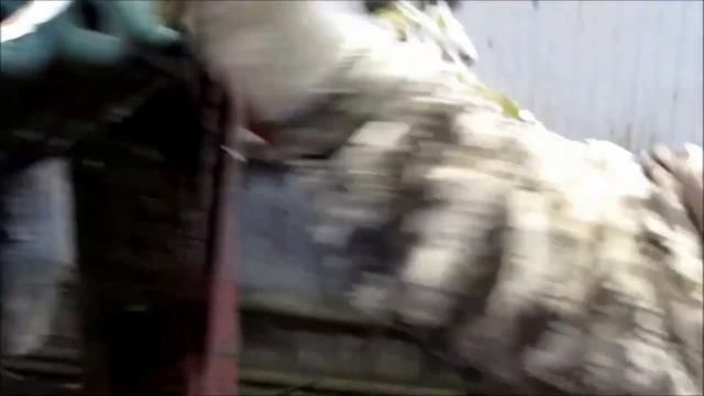 Работа копытчика. Обработка копыт коров на комплексе смотреть онлайн