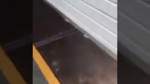 Баня на колесах. Автобаня. Баня Емеля.