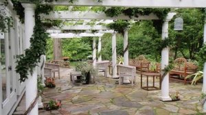 Pergola Design Collection | Pergola Vines