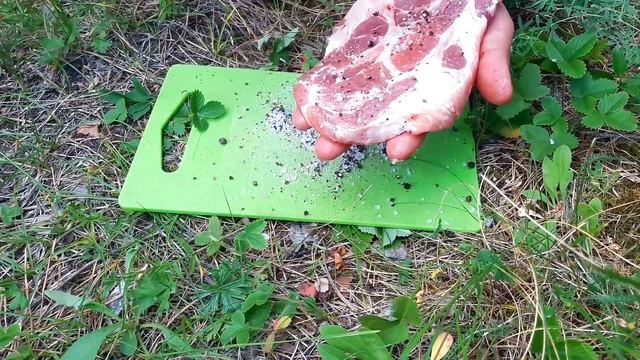★ Мясо на углях без мангала. Как жарить мясо на костре.