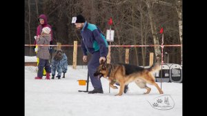 19 02 2022 г  Моя собака / Василий и Реник / Слалом с усложнениями