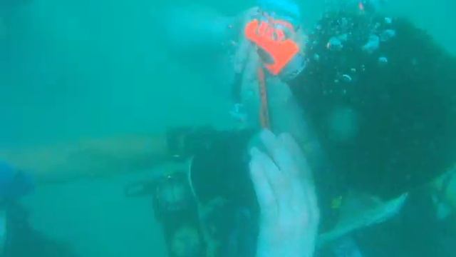 Discover Dive смотреть онлайн