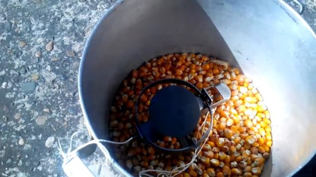 Самая сильная отрава для крыс!!!.