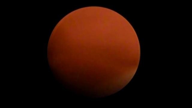 Видео №4 Риноскопия