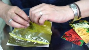 Неприхотливые цветы для сада ? Мальва или шток роза ? Обзор HITSAD TV