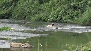 Shooting, chase, hunting. Fishing. South-East Asia.