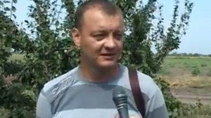 Уборка сливы и ежевики в сх фирме Кальвиль