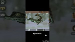 WILD CRAFT: ВАЙЛД КРАФТ: МОИ ИДЕИ ДЛЯ ОБНОВЛЕНИЯ 💘💘💘