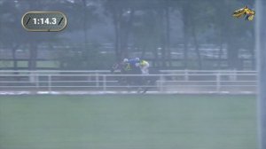 8-я Скачка. Приз в честь лошади 2017 и 2018 года Конард  Лорд. Павловский ипподром 25.09.2021