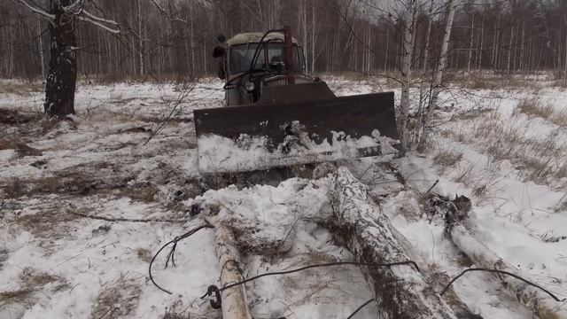 ДТ-75 сила, особенно в умелых руках! Вывоз дров из лесу на гусеничном тракторе... смотреть онлайн