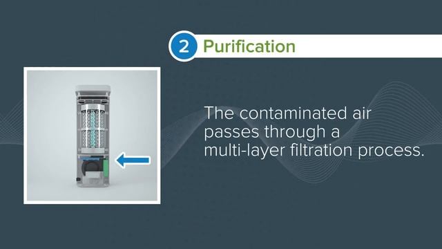 Personal protection from VIRUSKILLER™ Hextio смотреть онлайн