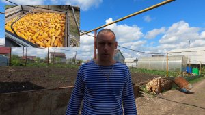 Самодельная лущилка для Кукурузы. Модернизация приспособления для кукурузных початков своими руками.