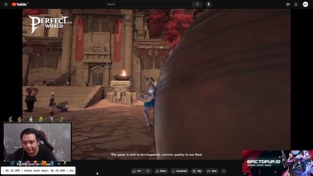 INI BARU MMORPG YANG SESUAI EKSPEKTASI  COMBO SKILL NYA KEREN PARAH - PERFECT NEW WORLD