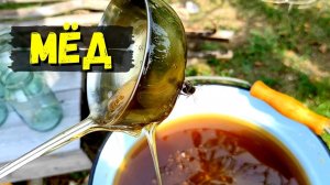 Разливаем МЁД на продажу / Золотистый мëд! #71
