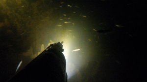 Подводная охота р  Урал 28 08 21 г 1