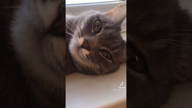 Сон час Баю Бай?? смотреть онлайн