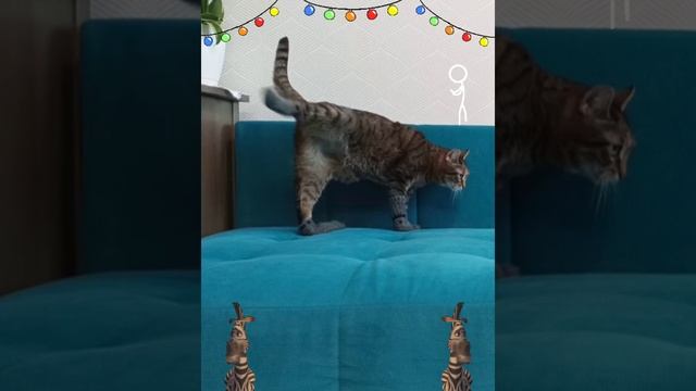 Танцующие носки - Мадагаскар - I Like To Move It, Move It