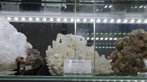 Первая экскурсия в музее Камневеды