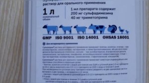 Наседка вывела цыплят. Цыпленок заболел, что делать? Чем лечить??!!
