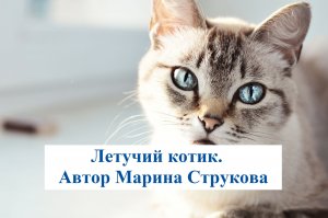 Марина Струкова. Летучий котик. Рассказ