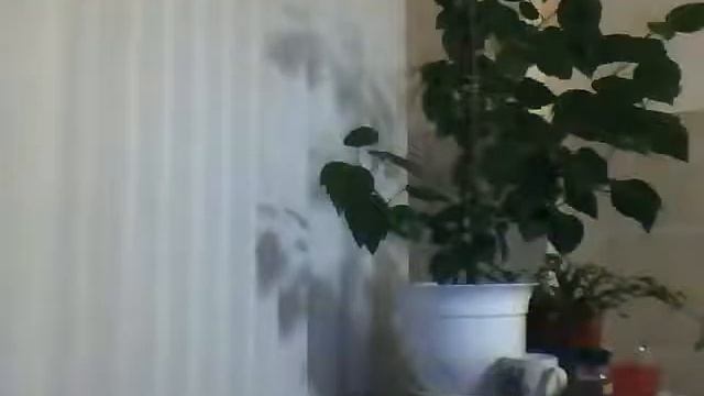 Знают ли покойники о том , что родсвенники посещают их могилы? смотреть онлайн