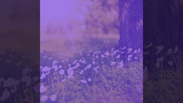 Музыка (Спать) смотреть онлайн