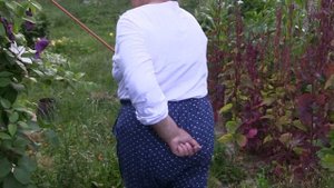 Обзор в начале Августа, Девясил и другие...