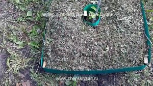 Ограждение деревьев БОРДЮРНОЙ ЛЕНТОЙ. Красота с пользой