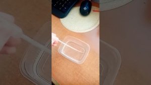 Как поить попугая если он не пьёт из поилки