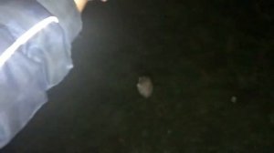 ПОЙМАЛИ КАРПА В платном пруду!? РЫБАЛКА В КУРСКЕ СЕЛО БУДАНОВКА