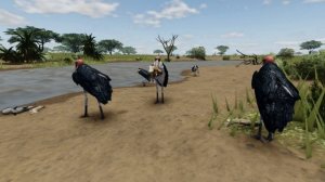 Roblox Wild Savanna - Marabou Stork food fight