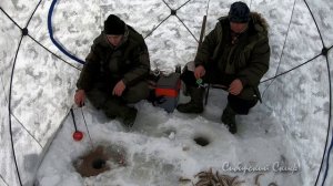 Рыбалка. Ловля окуня на опарыш и мормышку