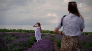 В Ростовской области проходит фестиваль лаванды