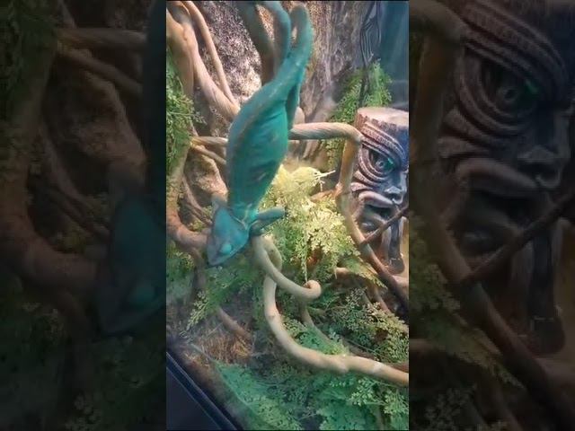 15 июня 2023 г. смотреть онлайн