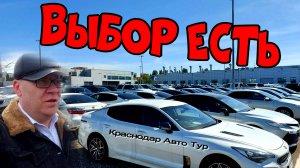 Выбор есть. Цены сегодня, авторынок Краснодар.