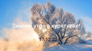 Утро 17.12.22