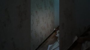 Как быстро и дёшево снять виниловые обои