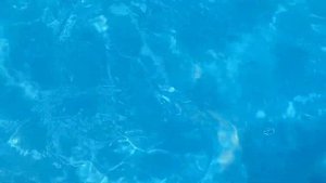 Аквапарк в Голубицкой?. Лера катается с водных горок и танцует на пенной вечеринке?. Лето 2021?